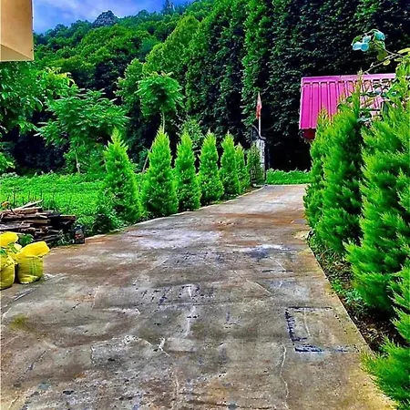 Bed and Breakfast Deredebiyer