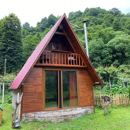 Deredebiyer Bed and Breakfast Ardeşen